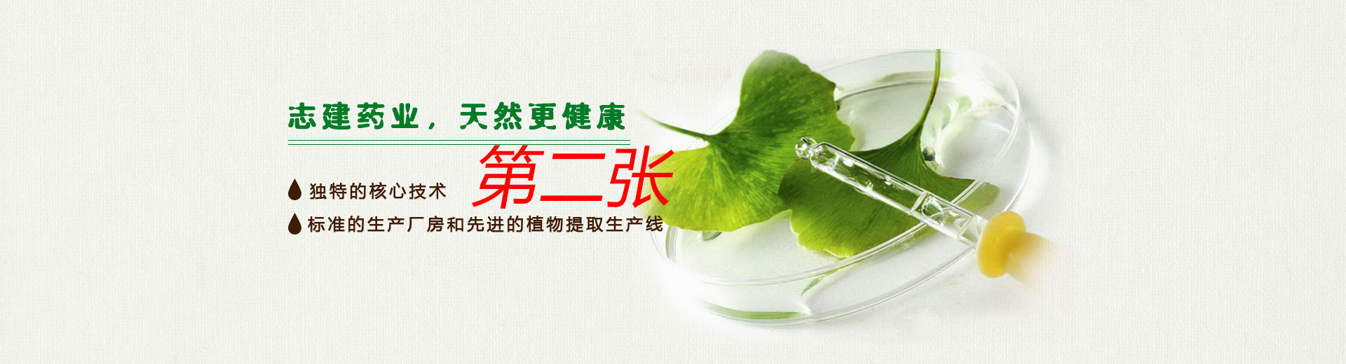 幻灯片2 幻灯片2